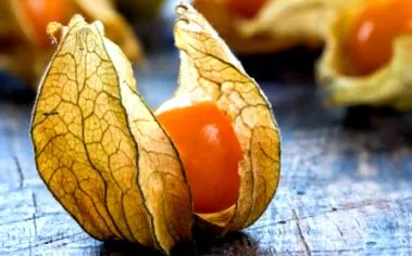 physalis