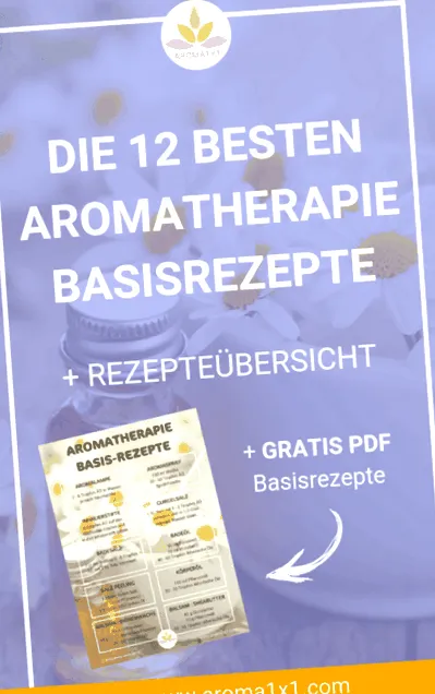 bază