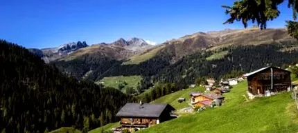 davosi