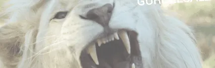 aromoterapie
