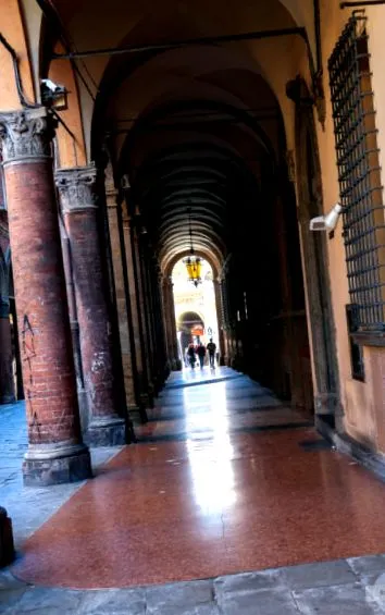 căutare bologna