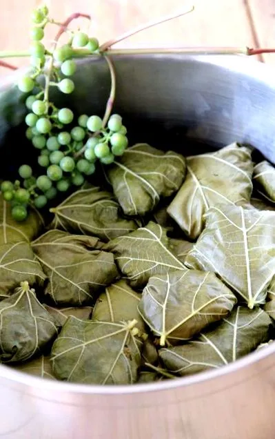 töltött dolmeh