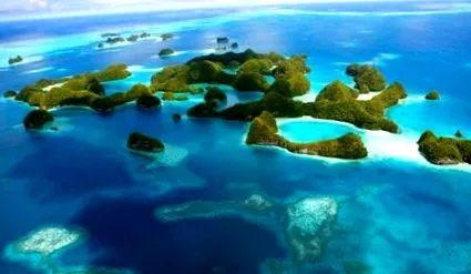 fundal imagini