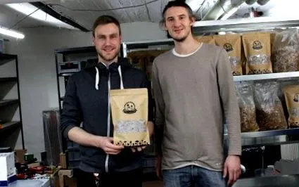 pilzbox