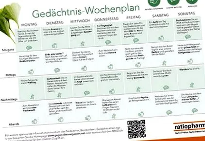 menetrendje