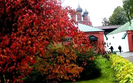 брод брод