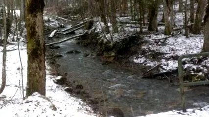 планински