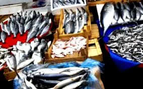 богата протеини