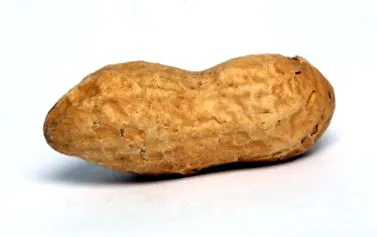 mogyoróvaj