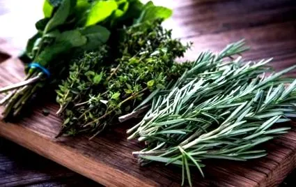 detox detox