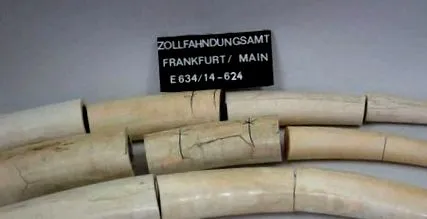 megakadályozta