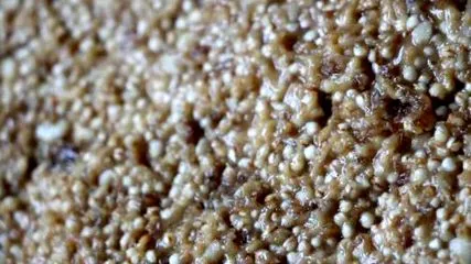 quinoa
