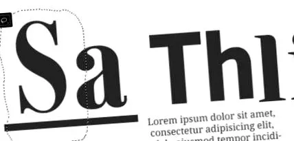 text
