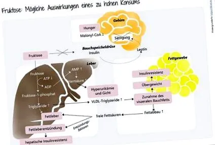terapie