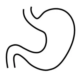 fermentate