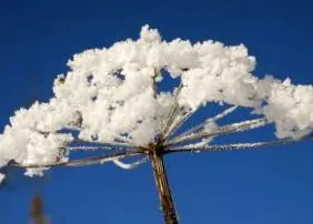 vremuri