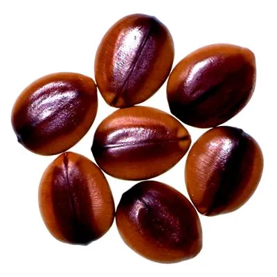 verzi