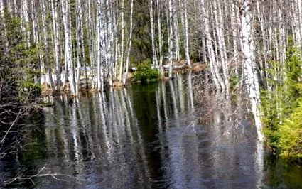 finnország