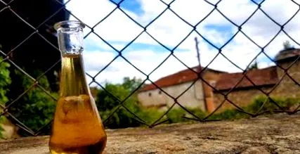 rakija
