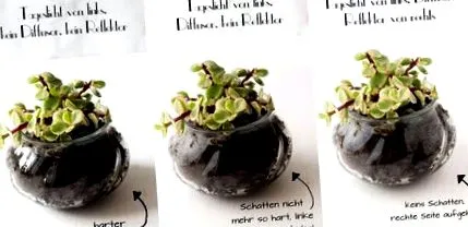 trükkök tippek