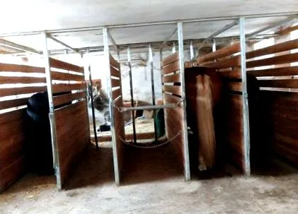 etetőállvány