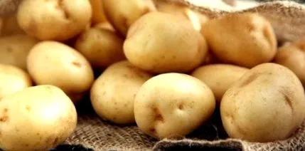 компир