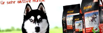 táplálkozási husky számára