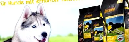 belcando husky számára