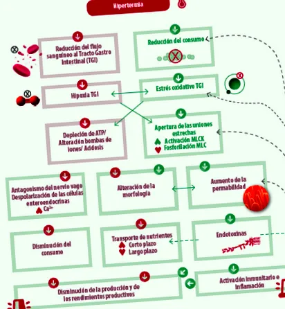 профілактики