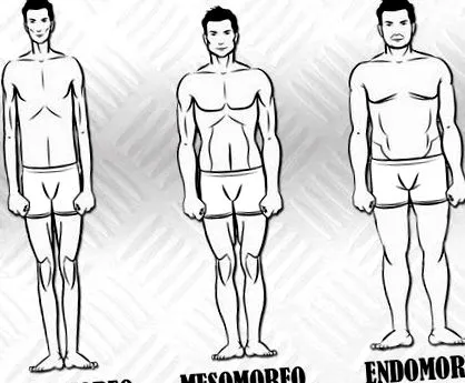 endomorf