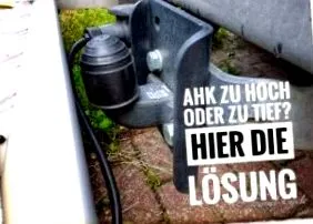 értelmes