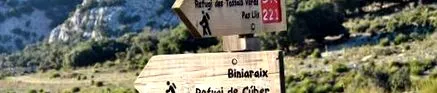 pentru