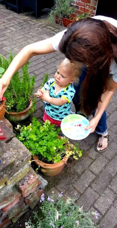 sănătoasă alimentație