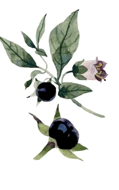 természet