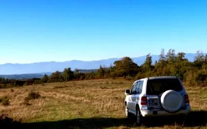 sfaturi georgia