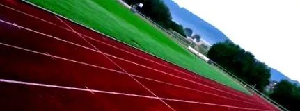 sporturile
