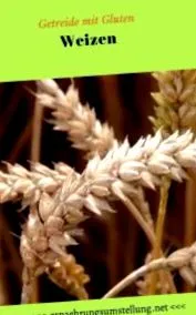 gluten
