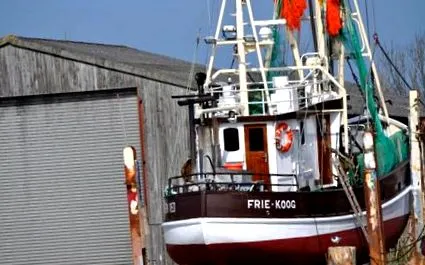 friedrichskoog