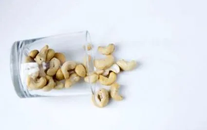 fitfunfruits