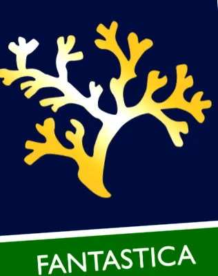körutazás