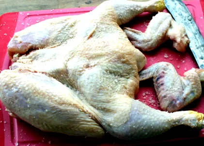 portugheză