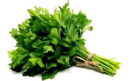 legume