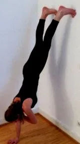 suporturi