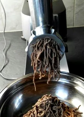 ceapă