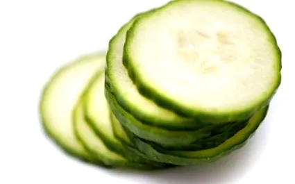 tippek