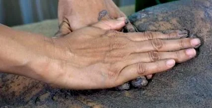 călătorie