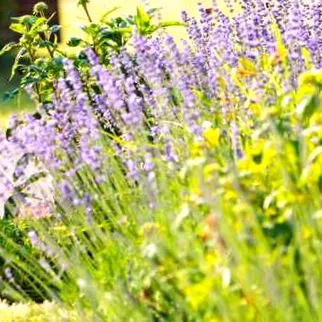 пост