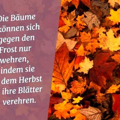 versek versek