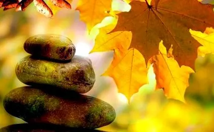 terapeutic