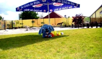 kalandföld gerolzhofenben